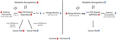 TGF-β, IL-1β, IL-6 levels and TGF-β/Smad pathway reactivity regulate the link between allergic diseases, cancer risk, and metabolic dysregulations